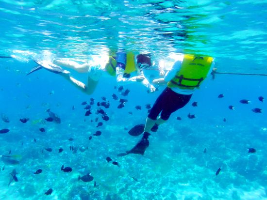 island-hopping-snorkel