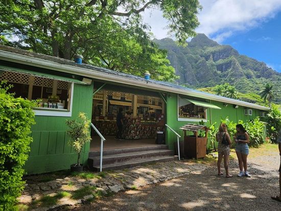 Tropical Farms Macadamia Nuts-3