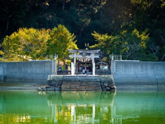 貸切り巡航船で行く鳴無神社参拝ツアー 地元ガイドが高知の魅力をたっぷり紹介＜特産品のお土産付き／須崎市＞
