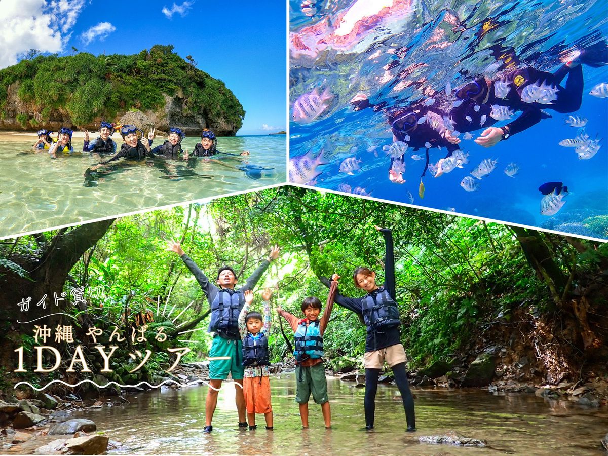 1日貸切】沖縄のやんばるの森と海を遊び尽くす！｜秘境のリバー