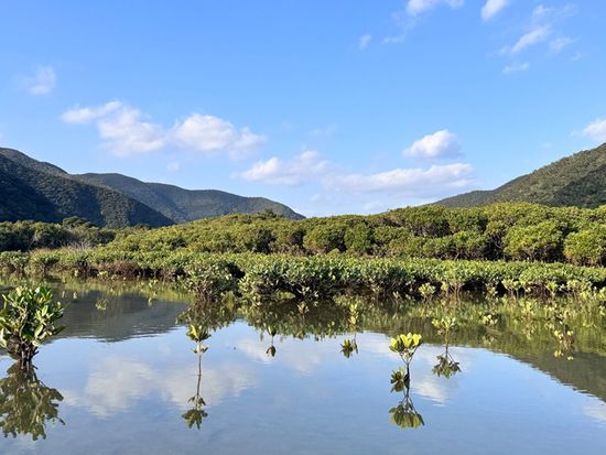 ビーチシュノーケリング＆マングローブカヤック3