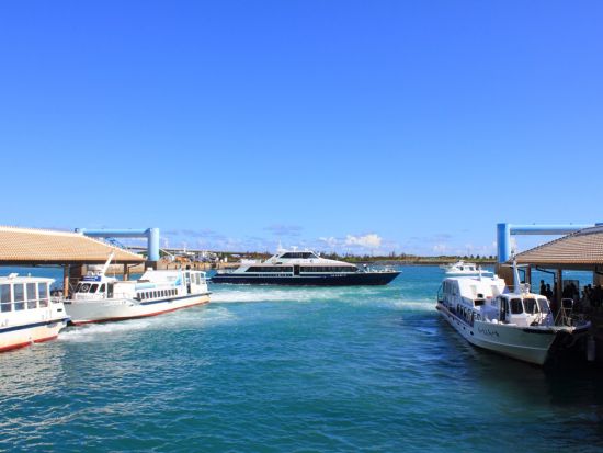 【石垣港発着】貸切観光タクシー 石垣島の観光スポットを巡る 石垣港⇔観光地送迎＜1名～／石垣島＞