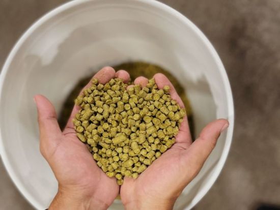 アロハ・ビア・カンパニー醸造所見学ツアー　カカアコ発人気クラフトビールブランドを見学！4種テイスティング付き＜英語／カカアコ＞