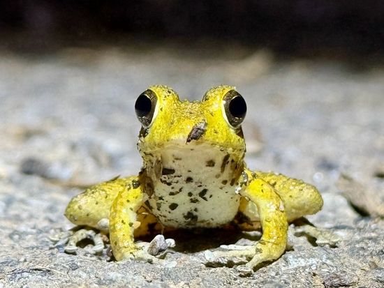 ナイトツアー11