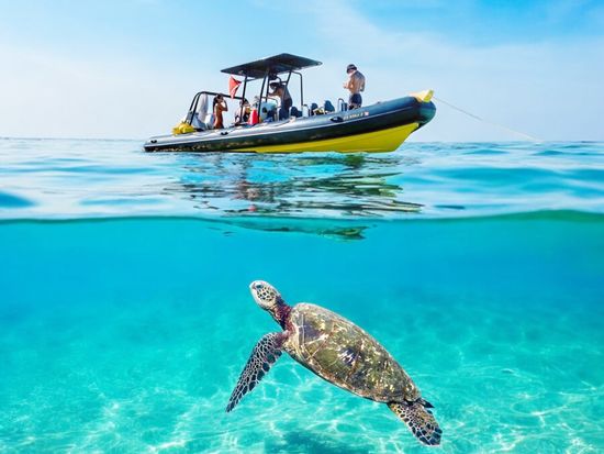 Photoroom_20250207_151303 2