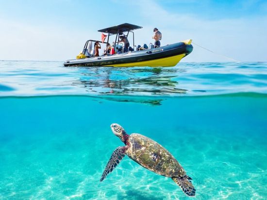 ウミガメシュノーケリング　高速ゾディアックボートでポイントへスピーディーにご案内！最大6名までの少人数制＜混載または貸切／日本語または英語＞
