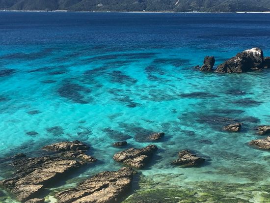 ネイチャーヒーリングツアー3