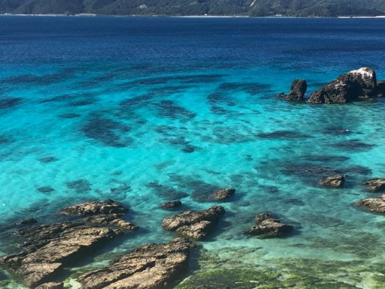 【1組貸切・おひとり様OK】ネイチャーヒーリングツアー 心ほどける癒し旅＜女性ネイチャーガイドがご案内／1日／送迎付き＞ by Oceania