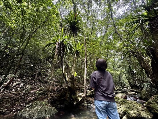 【1組貸切・おひとり様OK】ネイチャーヒーリングツアー 心ほどける癒し旅＜女性ネイチャーガイドがご案内／1日／送迎付き＞ by Oceania
