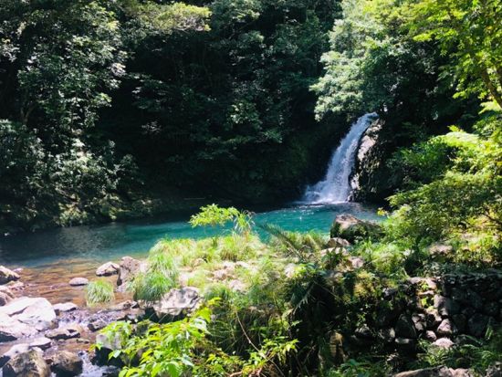 【1組貸切・おひとり様OK】ネイチャーヒーリングツアー 心ほどける癒し旅＜女性ネイチャーガイドがご案内／1日／送迎付き＞ by Oceania