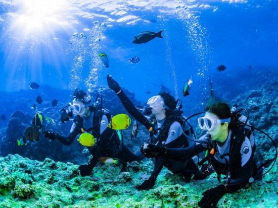 青の洞窟体験ダイビング ボートで楽々移動＆高画質写真無料！餌付け体験付き♪神秘的な青の世界を満喫＜1ダイブ／恩納村発＞