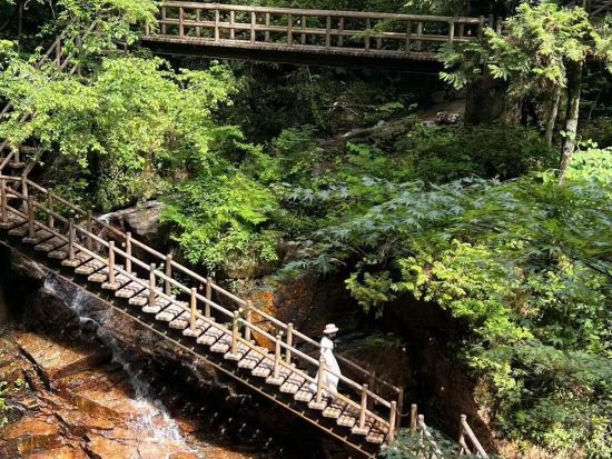 名古屋発日帰りバスツアー　中山道 馬籠宿＋妻籠宿＋龍神の滝をぶらり散策＜3～10月＞