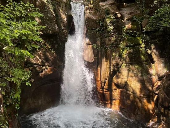 名古屋発日帰りバスツアー　中山道 馬籠宿＋妻籠宿＋龍神の滝をぶらり散策＜3～10月＞