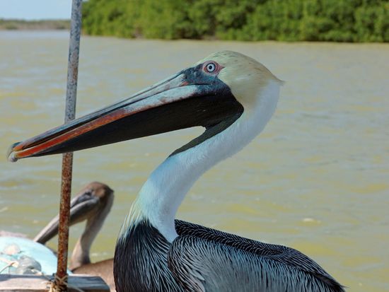 AdobeStock_1515413471