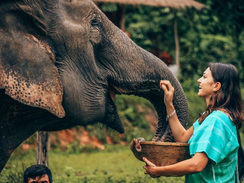 AdobeStock_272499599