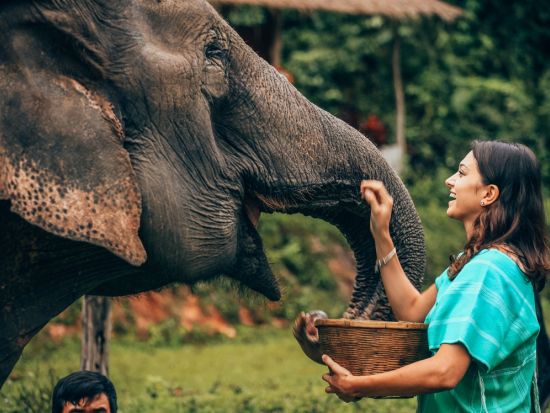象使いライセンス取得1日ツアー！日帰りで象を自由に乗りこなそう＜混載／昼食ビュッフェ付／ルアンパバーン発＞
