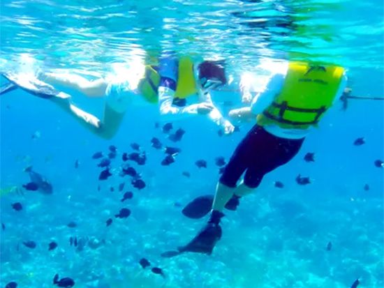 island_hopping_flow05