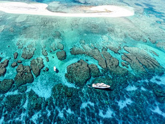 dji_fly_20240629_094234_0010_1719624462057_photo