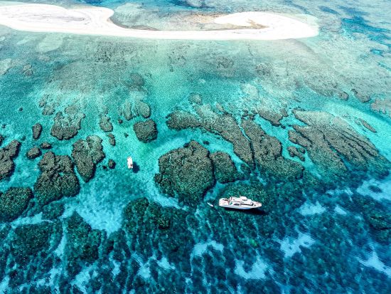 慶良間体験ダイビング＆シュノーケリング ペットも一緒に参加OK◎ウミガメと泳ぐ感動体験！透明度抜群の海で最高の思い出を♪＜約4時間／午前or午後／沖縄本島＞