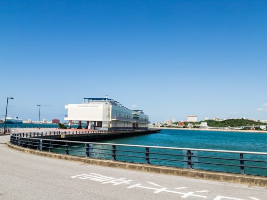 【クルーズ港発着】貸切観光タクシー 那覇クルーズ港送迎＋ご希望の観光地へ案内！高級タクシー新型アルファードで快適移動＜2～10時間／1～5名／沖縄本島＞