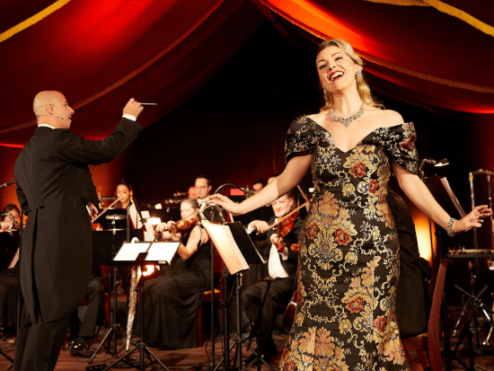 ヨハン・シュトラウスの世界を堪能！コンサートディナーショー　ホイリゲの雰囲気で楽しむ音楽と美食＜4コースディナー／ウィーン＞