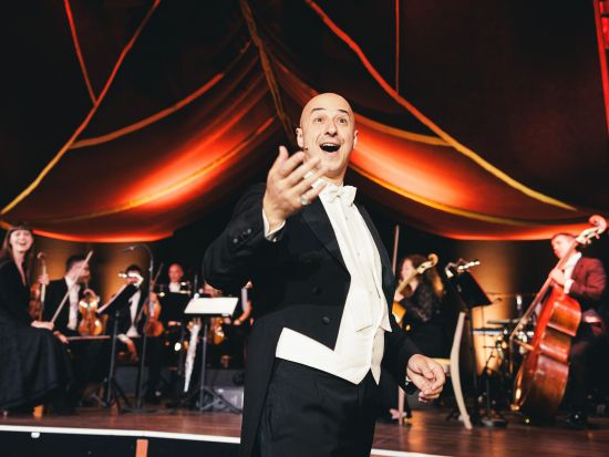 ヨハン・シュトラウスの世界を堪能！コンサートディナーショー　ホイリゲの雰囲気で楽しむ音楽と美食＜4コースディナー／ウィーン＞