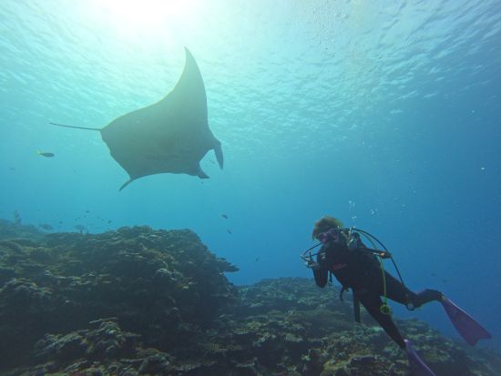 初心者専門＆少人数制のファンダイビング！安心サポートでリフレッシュダイブもOK！1日で2～3ダイブ、昼食・送迎付き。