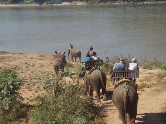 象使いライセンス取得1日ツアー！日帰りで象を自由に乗りこなそう＜混載／昼食ビュッフェ付／ルアンパバーン発＞