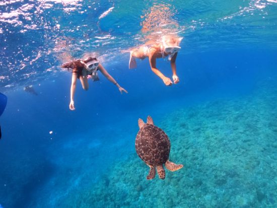 慶良間シュノーケリング＆スキンダイビング体験 完全貸切ボートあり◎小さなお子様やペット連れも大歓迎！沖縄の海を満喫しよう♪＜約4時間／午前or午後／沖縄本島＞