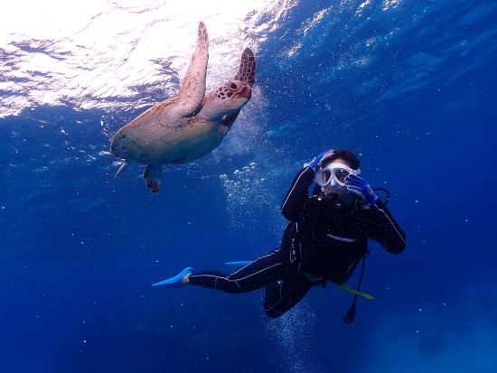 まるっと１日貸切冒険ツアー 貸切で自分たちだけの理想のプランを実現♪多彩なアクティビティを自由に体験◎＜約7時間／本島中部 宜野湾市＞