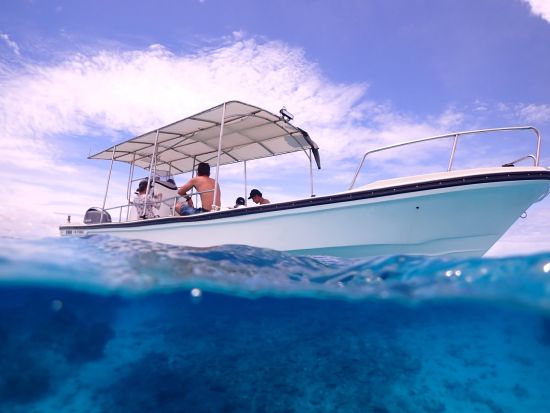 貸切体験ダイビング(1ダイブ)&シュノーケリング 完全貸切ボートで贅沢な海時間♪友達同士やカップルにもオススメプラン◎＜約4時間／午前or午後／宜野湾市＞