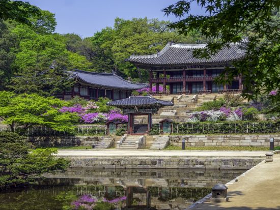 龍仁大長今パーク(旧MBCドラミア)＋世界文化遺産・昌徳宮＋宗廟ツアー＜終日／日本語ガイド／昼食付／ホテルお迎え付＞