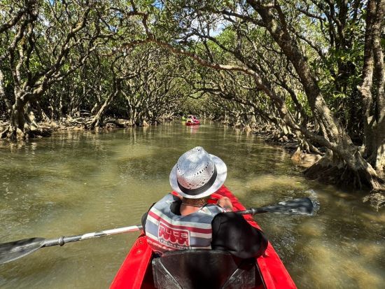 奄美大島〈お得なセットプラン〉【マングローブカヌー＋ジャングルツアー】（180分）日中の大自然を満喫！お一人様も可能！ｂｙ奄美シーランド