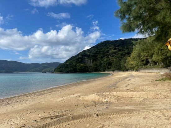 奄美大島【贅沢加計呂麻1日ツアー】離島でのんびり（送迎、お弁当、ナイトツアー、シュノーケル付）ドローン撮影無料！お一人様も可能！ｂｙ奄美シーランド