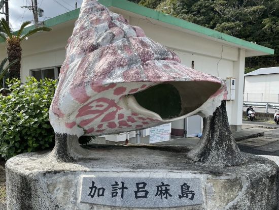 奄美大島【贅沢加計呂麻1日ツアー】離島でのんびり（送迎、お弁当、ナイトツアー、シュノーケル付）ドローン撮影無料！お一人様も可能！ｂｙ奄美シーランド