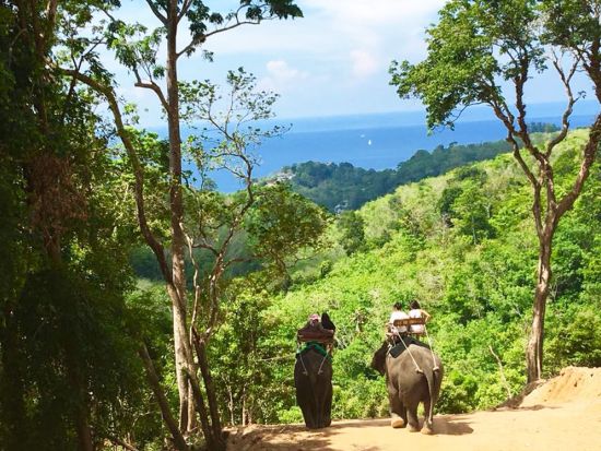 海を見下ろす象のトレッキング☆ビーチで象と触れ合う・記念撮影OK！+ジップラインもご用意！＜英語ガイド／ホテル送迎＞