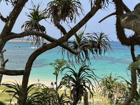 奄美大島【北コース180分 】 奄美大島北部の観光名所をめぐる島内観光ツアー！ドローン・ゴープロ撮影無料！お一人様も可能by奄美シーランド