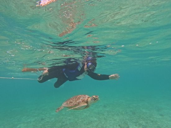 奄美大島〈お得なセットプラン〉【SUP+シュノーケル】奄美大島の美しい水中世界を楽しもう！ドローン撮影無料！お一人様も可能（2時間）by 奄美シーランド