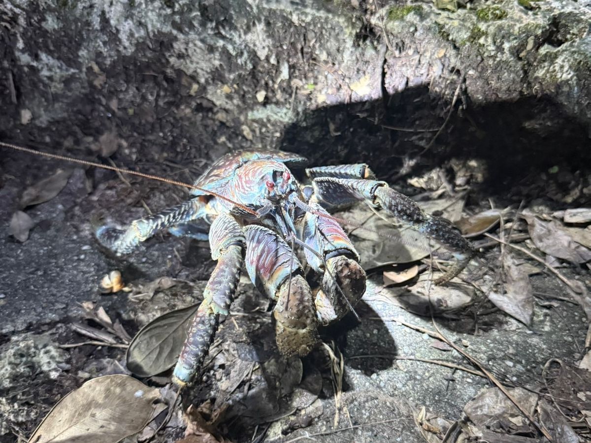 20250702053423_164257239_16639