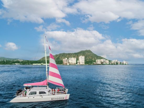 ウミガメシュノーケリング　ウミガメとの遭遇率が高い、ワイキキ沖のタートルキャニオンでシュノーケリング！＜英語スタッフ／ワイキキ発＞