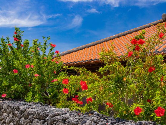 AdobeStock_225619249-min