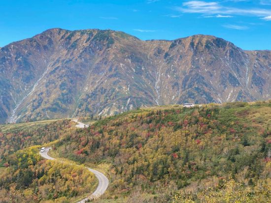 【2026】秋の立山日帰りバスツアー　落差日本一の称名滝、紅葉シーズンの弥陀ヶ原、室堂平を立山登山ガイドがご案内　＜富山駅発着＞ 