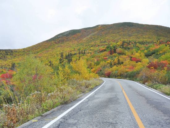 03-紅葉のアルペンルート