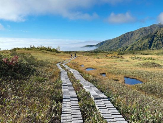 【2026】秋の立山日帰りバスツアー　落差日本一の称名滝、紅葉シーズンの弥陀ヶ原、室堂平を立山登山ガイドがご案内　＜富山駅発着＞ 