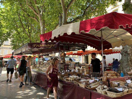 移動しながら南仏観光！プロヴァンス 2都市周遊 1日ツアー＜貸切／日本語ドライバー同行／マルセイユまたはエクス・アン・プロヴァンス発アビニョン着＞