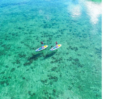 【少人数制】2歳〜参加可！海＆マングローブドローン・一眼レフ撮影付！上陸できるマングローブと青く澄んだ海SUP/カヌー！カメラマン案内＜約2時間／石垣島＞