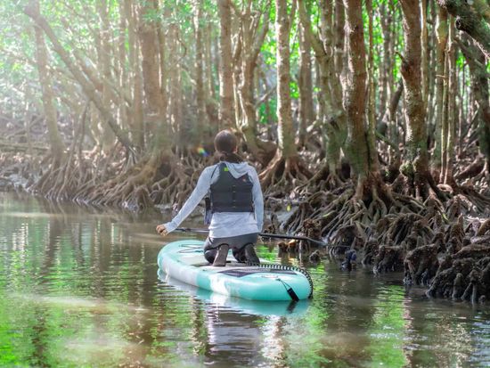 ld-export-1cf4c63b-12022024