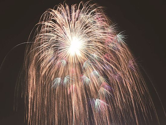 催行決定9月12日限定！片貝花火大会を観覧する日帰りバスツアー 専用観覧席で世界で最大の正四尺玉が打ち上がる越後三大花火大会の一つを楽しむ＜弁当付き／金沢発着＞