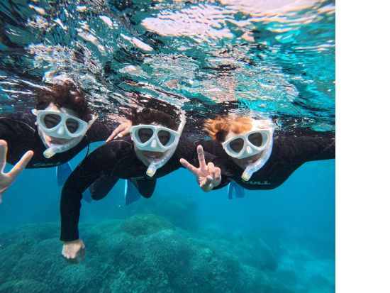 【石垣島/1日】幻の島上陸＋石西礁湖＆ウミガメシュノーケリング〈GoProレンタル無料〉初心者大歓迎