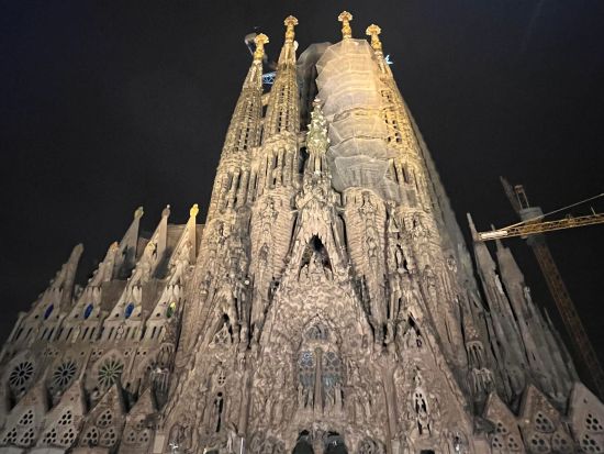 バルセロナ タパスツアー　3軒のバル巡り＆サグラダ・ファミリア夜景鑑賞＆旧市街散策＜タパス3品＆ドリンク3杯／日本語＞*前日まで予約OK